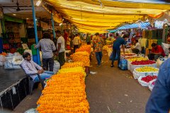 Hyderabad-Flower-Market-165