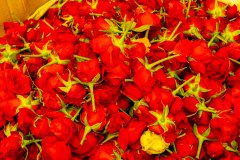 Hyderabad-Flower-Market-168