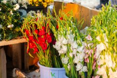 Hyderabad-Flower-Market-18