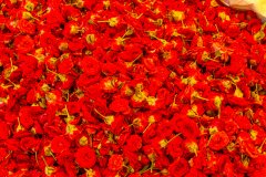 Hyderabad-Flower-Market-184