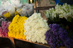 Hyderabad-Flower-Market-19