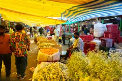 Hyderabad-Flower-Market-198