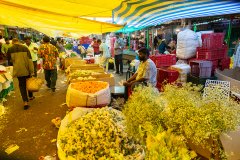 Hyderabad-Flower-Market-200