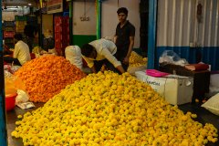 Hyderabad-Flower-Market-207