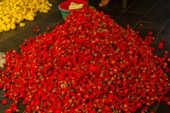 Hyderabad-Flower-Market-210