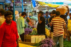Hyderabad-Flower-Market-218
