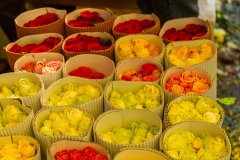 Hyderabad-Flower-Market-220
