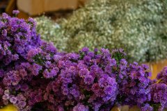Hyderabad-Flower-Market-225