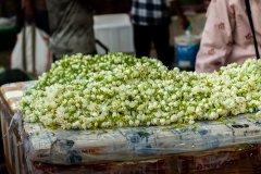 Hyderabad-Flower-Market-258