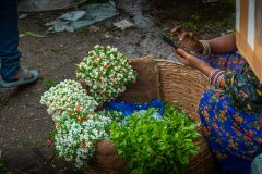 Hyderabad-Flower-Market-266