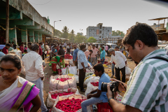 Hyderabad-Flower-Market-283