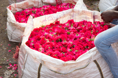Hyderabad-Flower-Market-286
