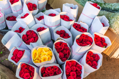 Hyderabad-Flower-Market-29
