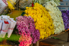 Hyderabad-Flower-Market-30