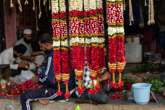 Hyderabad-Flower-Market-308