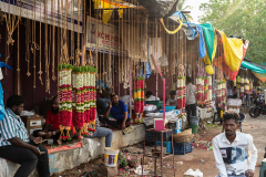 Hyderabad-Flower-Market-315