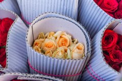 Hyderabad-Flower-Market-33