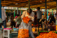 Hyderabad-Flower-Market-335