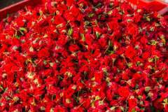 Hyderabad-Flower-Market-338