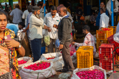 Hyderabad-Flower-Market-379