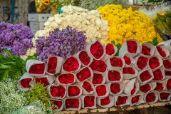 Hyderabad-Flower-Market-43