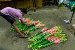 Hyderabad-Flower-Market-59