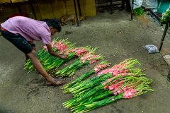 Hyderabad-Flower-Market-59
