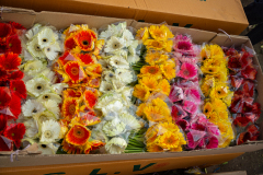 Hyderabad-Flower-Market-77