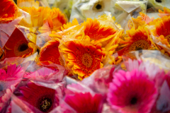 Hyderabad-Flower-Market-81
