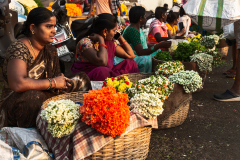 Hyderabad-Flower-Market-89