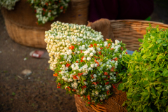Hyderabad-Flower-Market-91