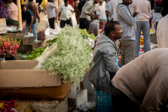 Hyderabad-Flower-Market-95