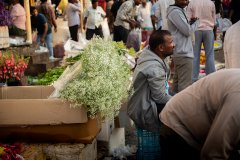 Hyderabad-Flower-Market-95