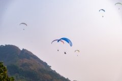 Paragliding-511