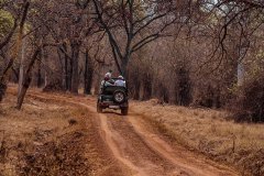 Tadoba.-2021-104