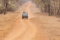 Tadoba.-2021-353