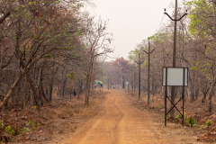 Tadoba.-2021-542
